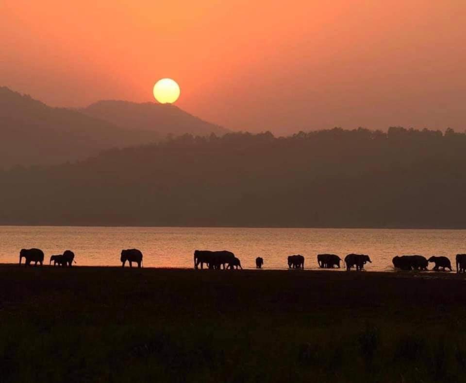 Wild Lake Side Udawalawe Dış mekan fotoğraf