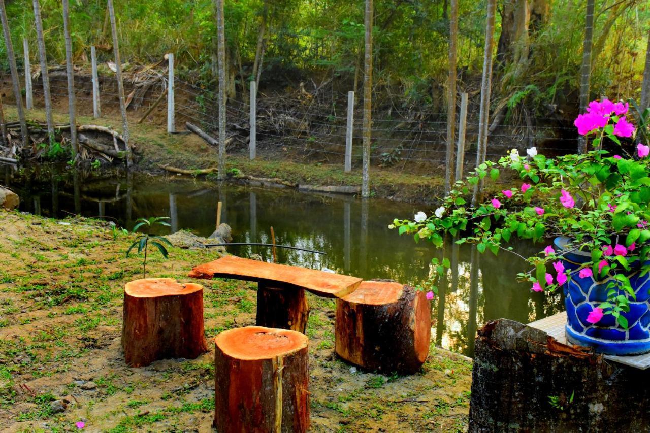 Wild Lake Side Udawalawe Dış mekan fotoğraf